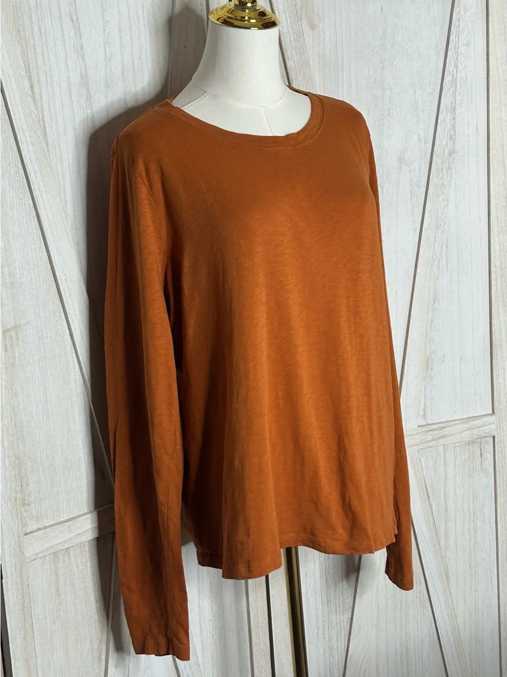 J. Crew Girlfriend Tee Long Sleeve Crewneck Top Autumncore Sz L Preppy Earthy